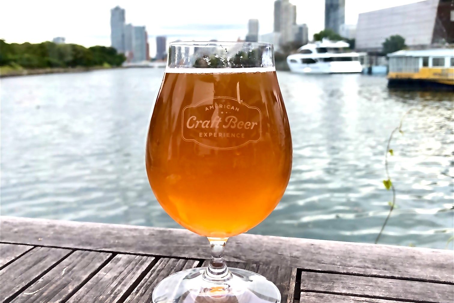 BSブログ扉グラス